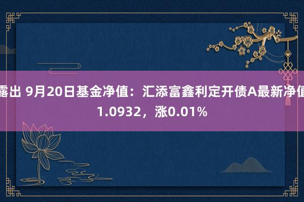 露出 9月20日基金净值：汇添富鑫利定开债A最新净值1.0932，涨0.01%