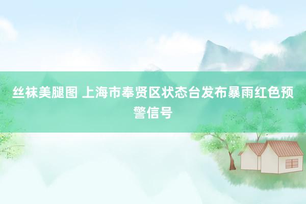 丝袜美腿图 上海市奉贤区状态台发布暴雨红色预警信号
