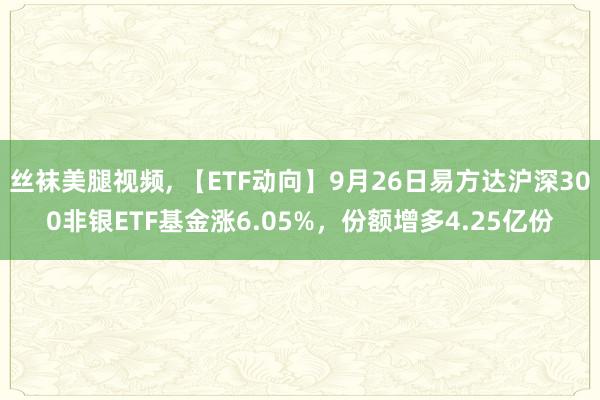 丝袜美腿视频, 【ETF动向】9月26日易方达沪深300非银ETF基金涨6.05%，份额增多4.25亿份