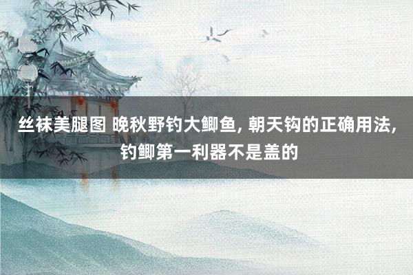丝袜美腿图 晚秋野钓大鲫鱼, 朝天钩的正确用法, 钓鲫第一利器不是盖的