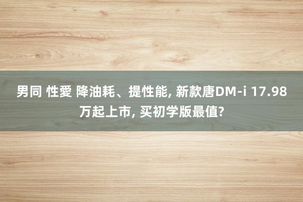 男同 性愛 降油耗、提性能, 新款唐DM-i 17.98万起上市, 买初学版最值?