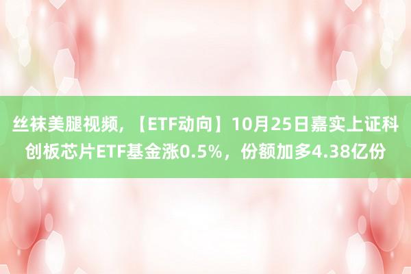 丝袜美腿视频, 【ETF动向】10月25日嘉实上证科创板芯片ETF基金涨0.5%，份额加多4.38亿份