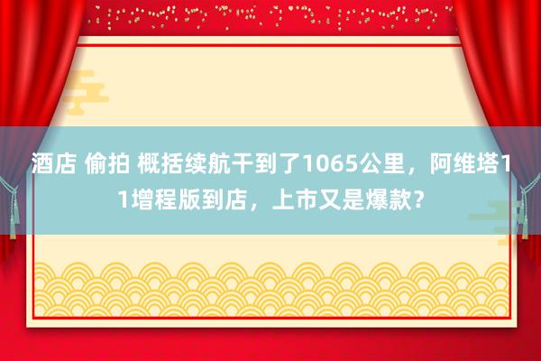 酒店 偷拍 概括续航干到了1065公里，阿维塔11增程版到店，上市又是爆款？