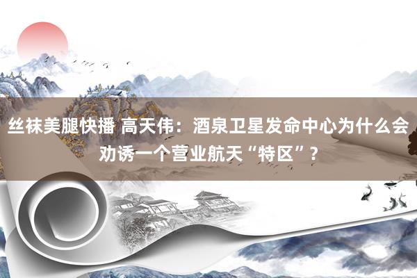 丝袜美腿快播 高天伟：酒泉卫星发命中心为什么会劝诱一个营业航天“特区”？