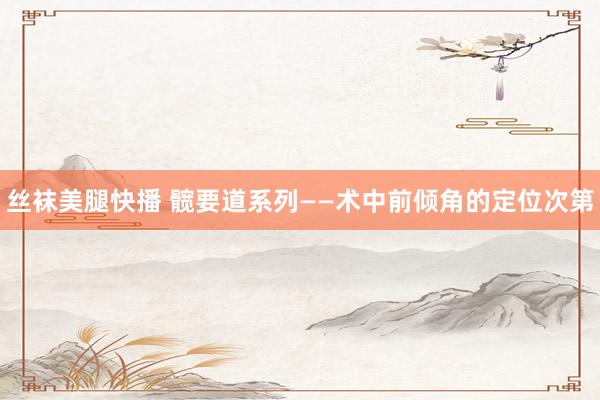 丝袜美腿快播 髋要道系列——术中前倾角的定位次第
