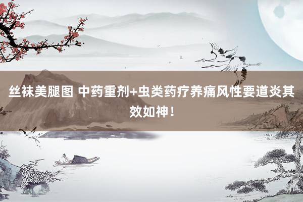 丝袜美腿图 中药重剂+虫类药疗养痛风性要道炎其效如神！