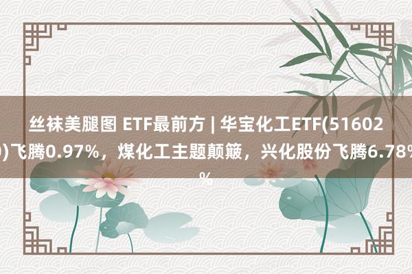 丝袜美腿图 ETF最前方 | 华宝化工ETF(516020)飞腾0.97%，煤化工主题颠簸，兴化股份飞腾6.78%