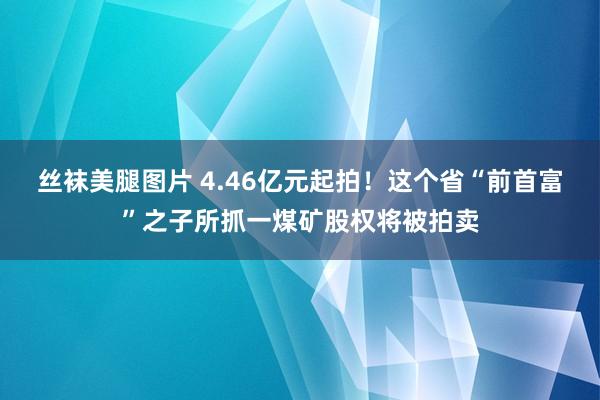 丝袜美腿图片 4.46亿元起拍！这个省“前首富”之子所抓一煤矿股权将被拍卖