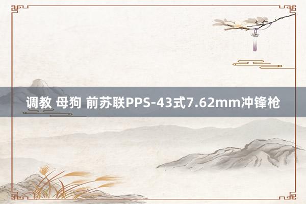 调教 母狗 前苏联PPS-43式7.62mm冲锋枪