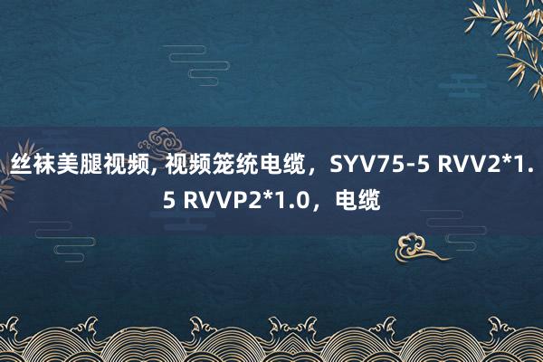丝袜美腿视频， 视频笼统电缆，SYV75-5 RVV2*1.5 RVVP2*1.0，电缆
