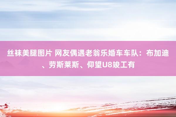 丝袜美腿图片 网友偶遇老翁乐婚车车队：布加迪、劳斯莱斯、仰望U8竣工有