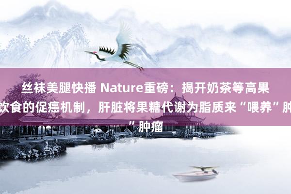 丝袜美腿快播 Nature重磅：揭开奶茶等高果糖饮食的促癌机制，肝脏将果糖代谢为脂质来“喂养”肿瘤