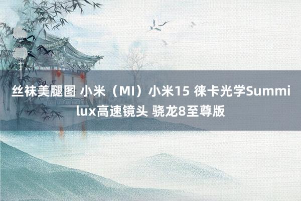 丝袜美腿图 小米（MI）小米15 徕卡光学Summilux高速镜头 骁龙8至尊版