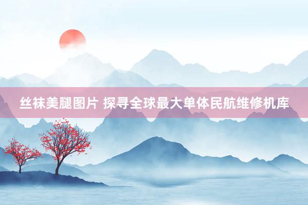 丝袜美腿图片 探寻全球最大单体民航维修机库