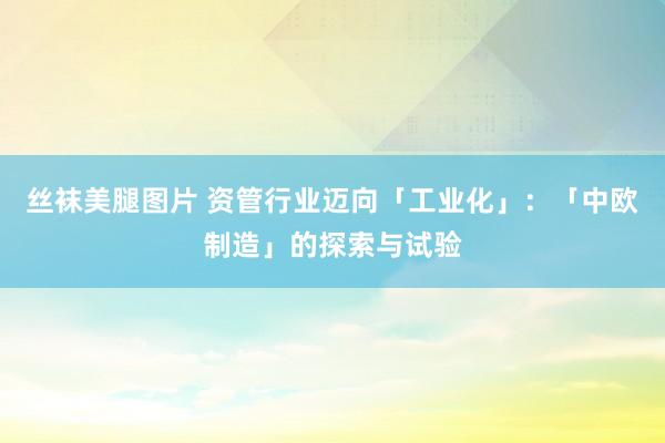 丝袜美腿图片 资管行业迈向「工业化」：「中欧制造」的探索与试验