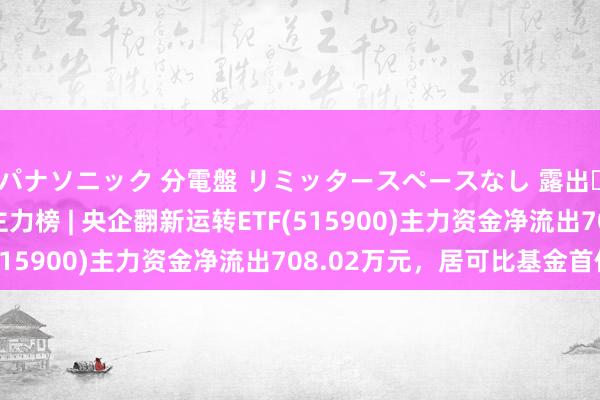 パナソニック 分電盤 リミッタースペースなし 露出・半埋込両用形 ETF主力榜 | 央企翻新运转ETF(515900)主力资金净流出708.02万元，居可比基金首位