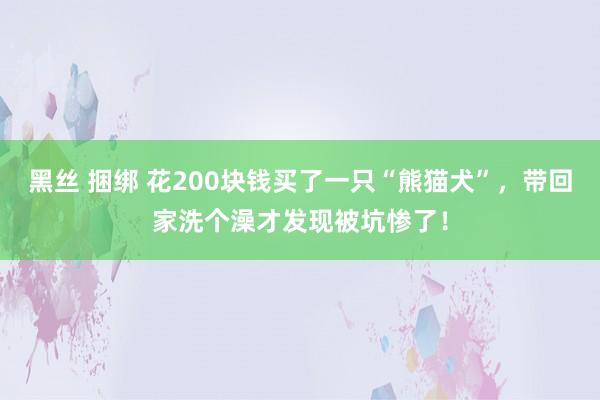 黑丝 捆绑 花200块钱买了一只“熊猫犬”，带回家洗个澡才发现被坑惨了！
