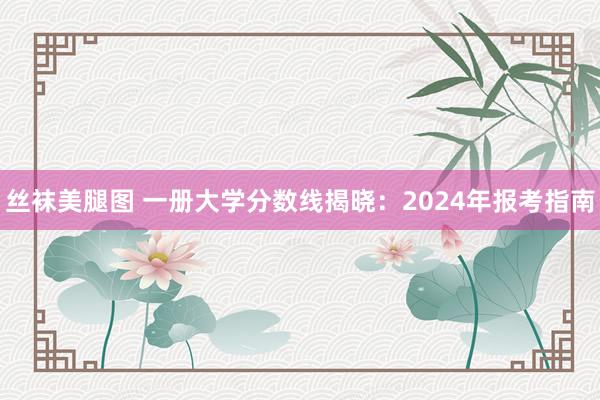 丝袜美腿图 一册大学分数线揭晓：2024年报考指南