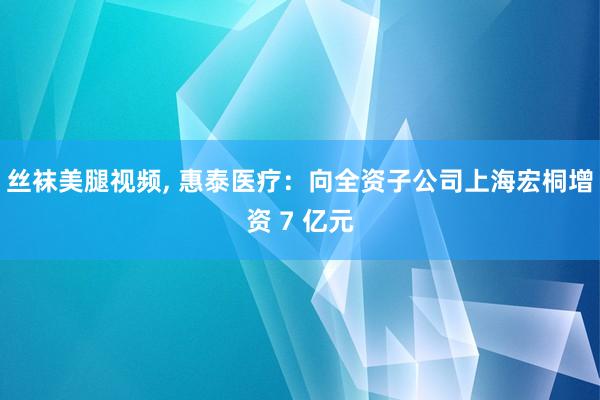 丝袜美腿视频, 惠泰医疗：向全资子公司上海宏桐增资 7 亿元