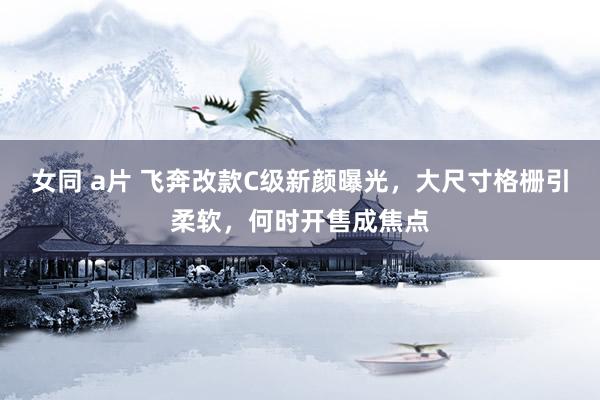女同 a片 飞奔改款C级新颜曝光，大尺寸格栅引柔软，何时开售成焦点