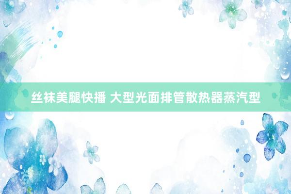 丝袜美腿快播 大型光面排管散热器蒸汽型