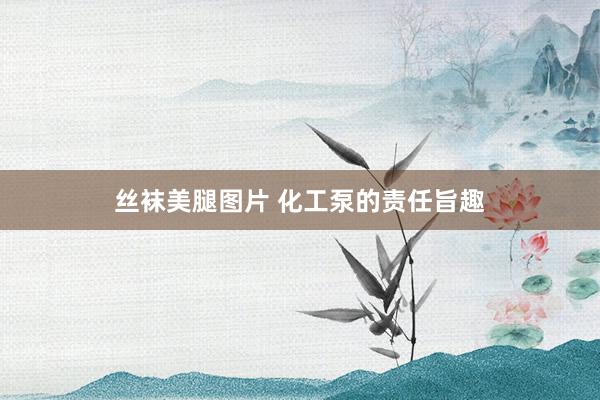 丝袜美腿图片 化工泵的责任旨趣