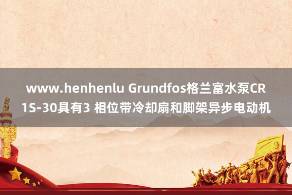 www.henhenlu Grundfos格兰富水泵CR1S-30具有3 相位带冷却扇和脚架异步电动机