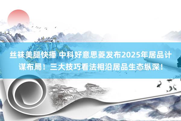丝袜美腿快播 中科好意思菱发布2025年居品计谋布局！三大技巧看法相沿居品生态纵深！