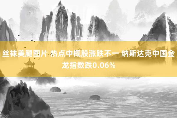 丝袜美腿图片 热点中概股涨跌不一 纳斯达克中国金龙指数跌0.06%