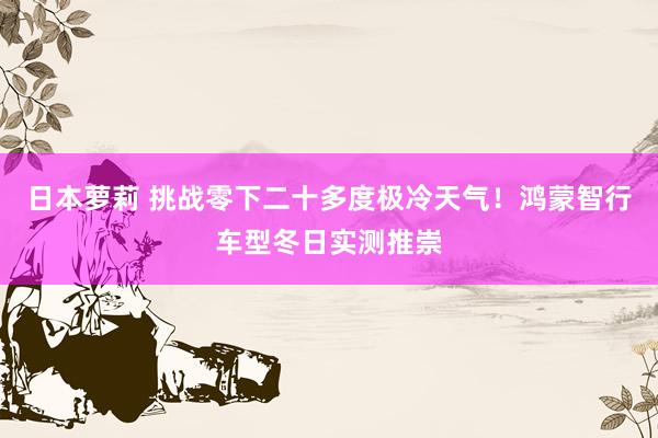 日本萝莉 挑战零下二十多度极冷天气！鸿蒙智行车型冬日实测推崇