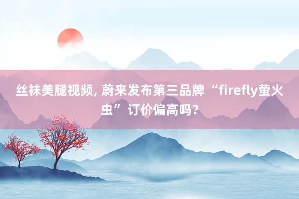 丝袜美腿视频, 蔚来发布第三品牌 “firefly萤火虫” 订价偏高吗？