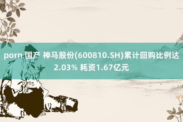 porn 国产 神马股份(600810.SH)累计回购比例达2.03% 耗资1.67亿元