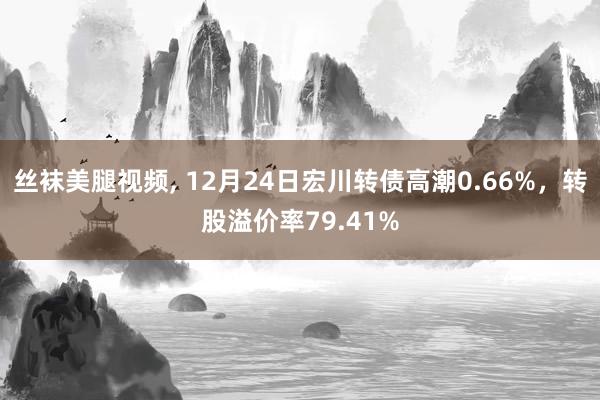 丝袜美腿视频, 12月24日宏川转债高潮0.66%，转股溢价率79.41%