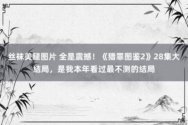 丝袜美腿图片 全是震撼！《猎罪图鉴2》28集大结局，是我本年看过最不测的结局