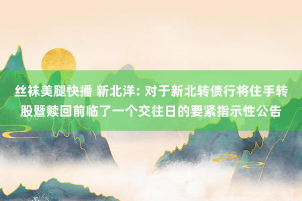丝袜美腿快播 新北洋: 对于新北转债行将住手转股暨赎回前临了一个交往日的要紧指示性公告