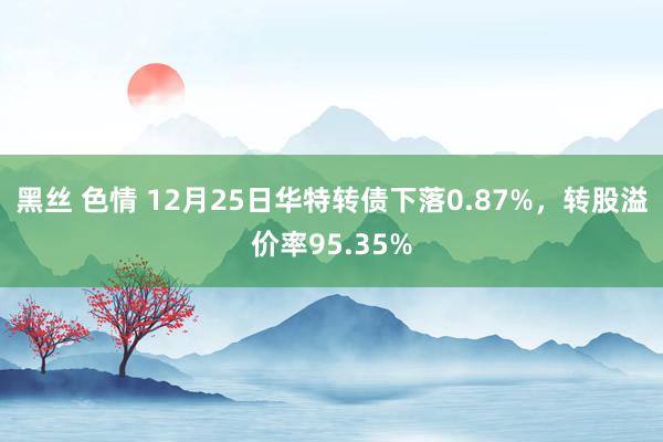 黑丝 色情 12月25日华特转债下落0.87%，转股溢价率95.35%
