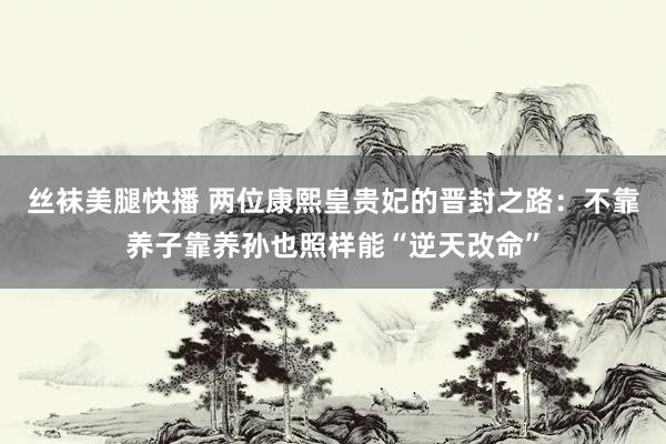 丝袜美腿快播 两位康熙皇贵妃的晋封之路：不靠养子靠养孙也照样能“逆天改命”