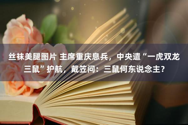 丝袜美腿图片 主席重庆息兵，中央遣“一虎双龙三鼠”护航，戴笠问：三鼠何东说念主？