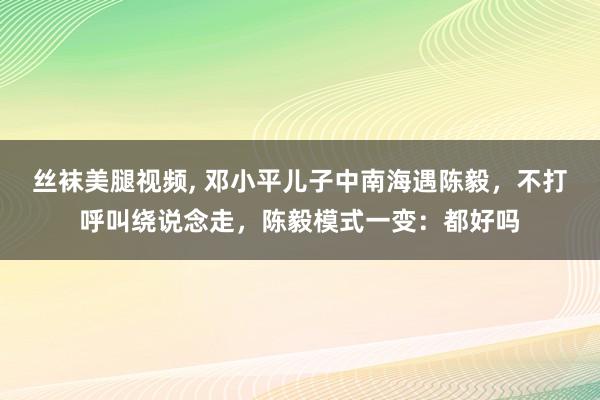丝袜美腿视频, 邓小平儿子中南海遇陈毅，不打呼叫绕说念走，陈毅模式一变：都好吗