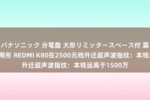 パナソニック 分電盤 大形リミッタースペース付 露出・半埋込両用形 REDMI K80在2500元档升迁超声波指纹：本钱远高于1500万