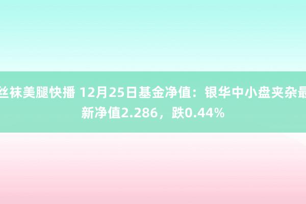 丝袜美腿快播 12月25日基金净值：银华中小盘夹杂最新净值2.286，跌0.44%