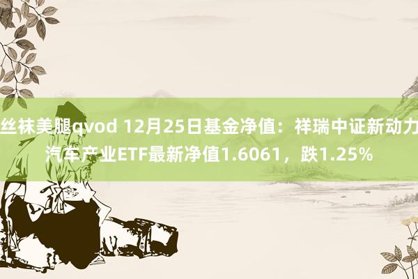 丝袜美腿qvod 12月25日基金净值：祥瑞中证新动力汽车产业ETF最新净值1.6061，跌1.25%