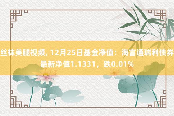 丝袜美腿视频, 12月25日基金净值：海富通瑞利债券最新净值1.1331，跌0.01%
