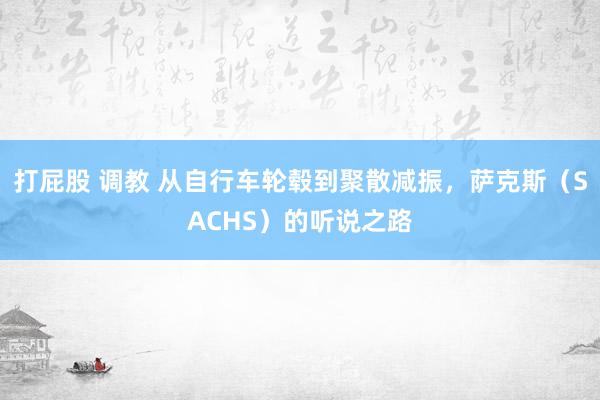打屁股 调教 从自行车轮毂到聚散减振，萨克斯（SACHS）的听说之路
