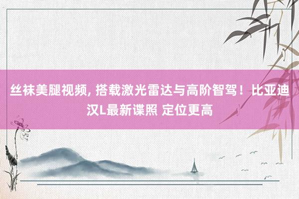 丝袜美腿视频, 搭载激光雷达与高阶智驾！比亚迪汉L最新谍照 定位更高