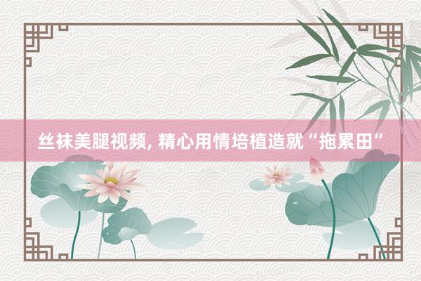 丝袜美腿视频, 精心用情培植造就“拖累田”