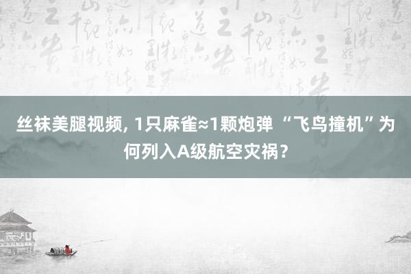 丝袜美腿视频, 1只麻雀≈1颗炮弹 “飞鸟撞机”为何列入A级航空灾祸？