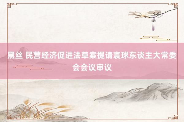 黑丝 民营经济促进法草案提请寰球东谈主大常委会会议审议