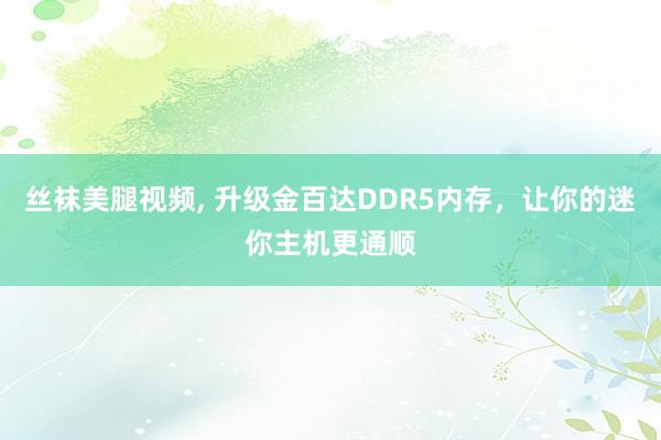 丝袜美腿视频, 升级金百达DDR5内存，让你的迷你主机更通顺