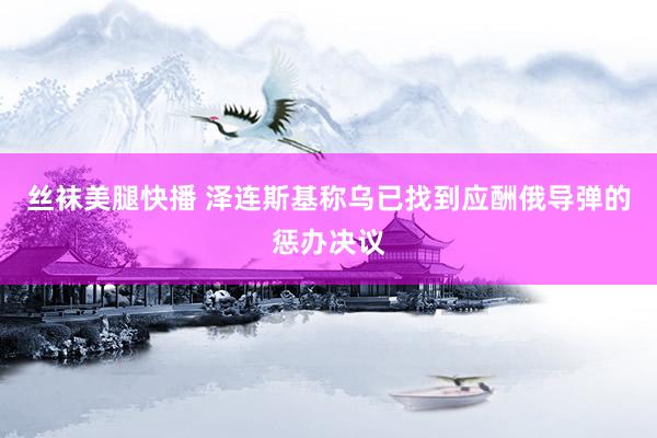 丝袜美腿快播 泽连斯基称乌已找到应酬俄导弹的惩办决议
